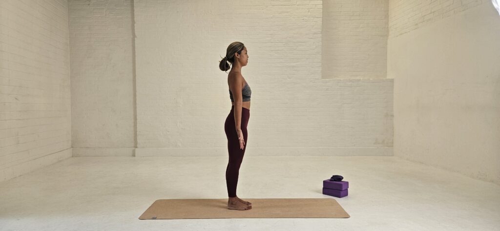 Asana_Mountain_SideAngle