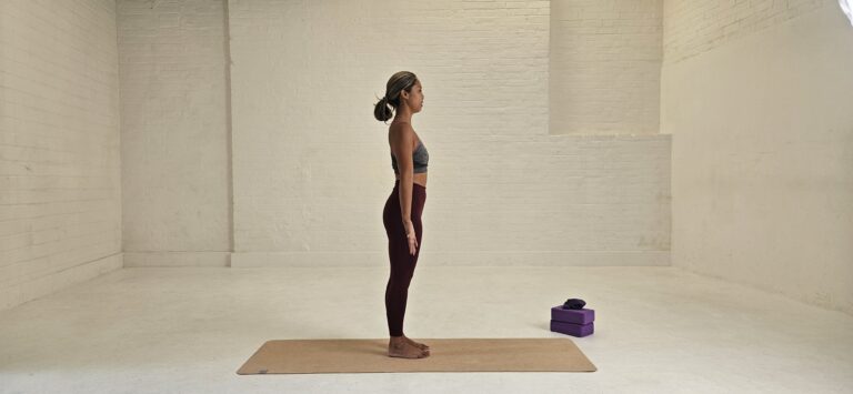 Asana_Mountain_SideAngle