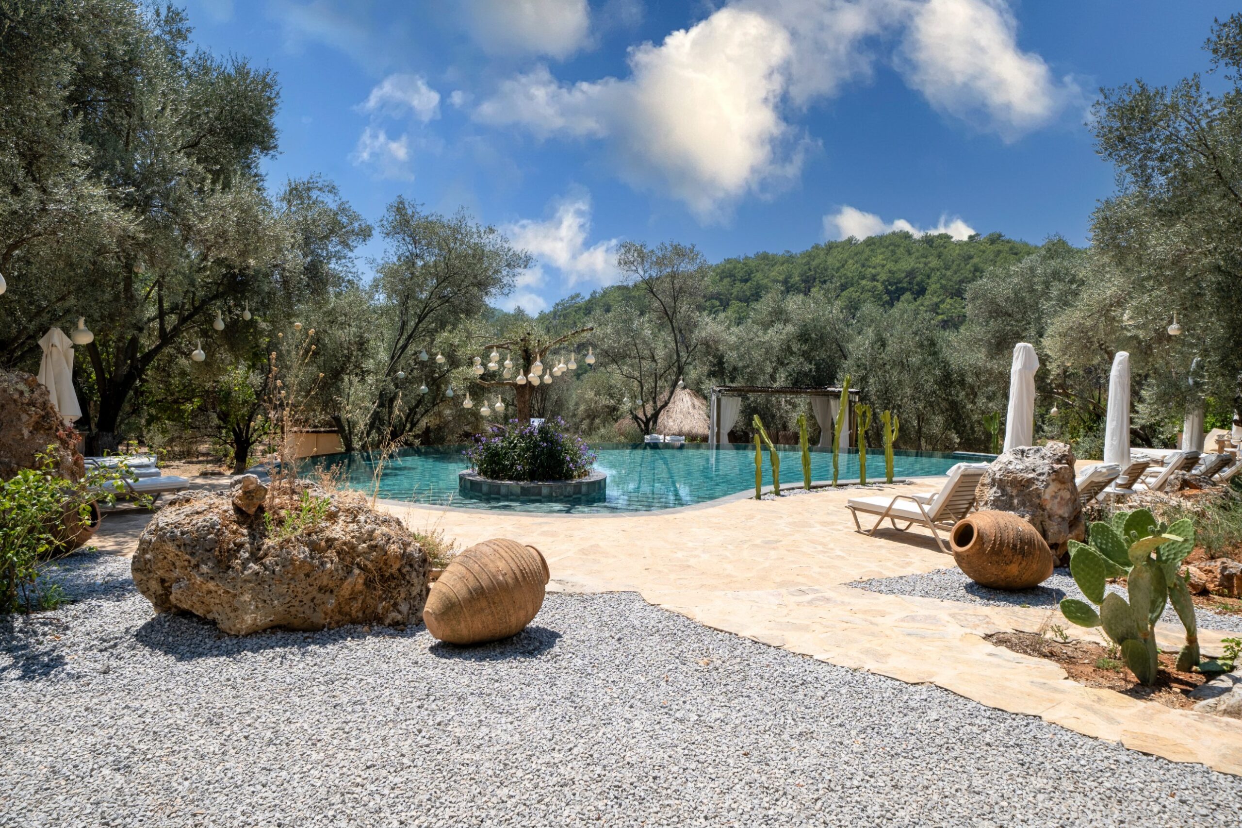 The pool at the retreat under a bright blue sky, ringed by olive trees