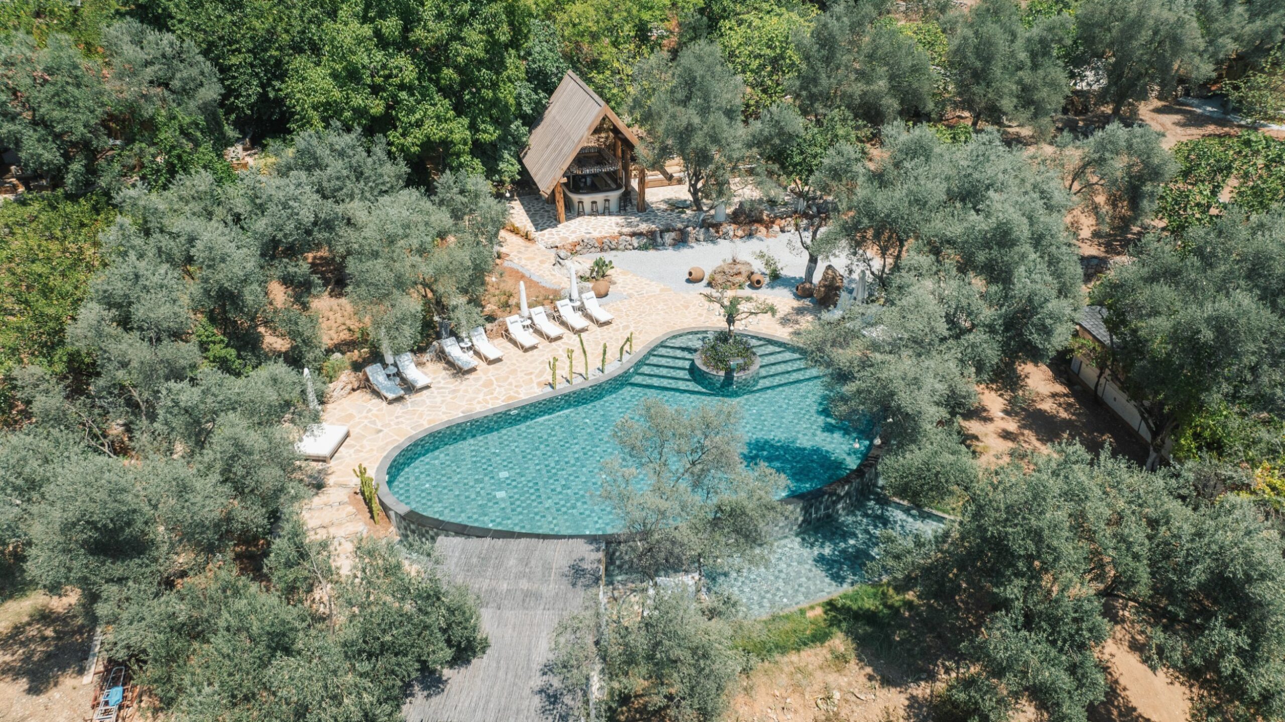 Aerial view of the pool, bar and shala tucked among the olive trees